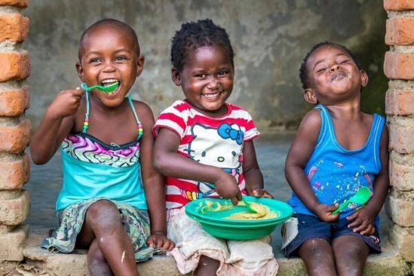 Donate Food Items and Groceries